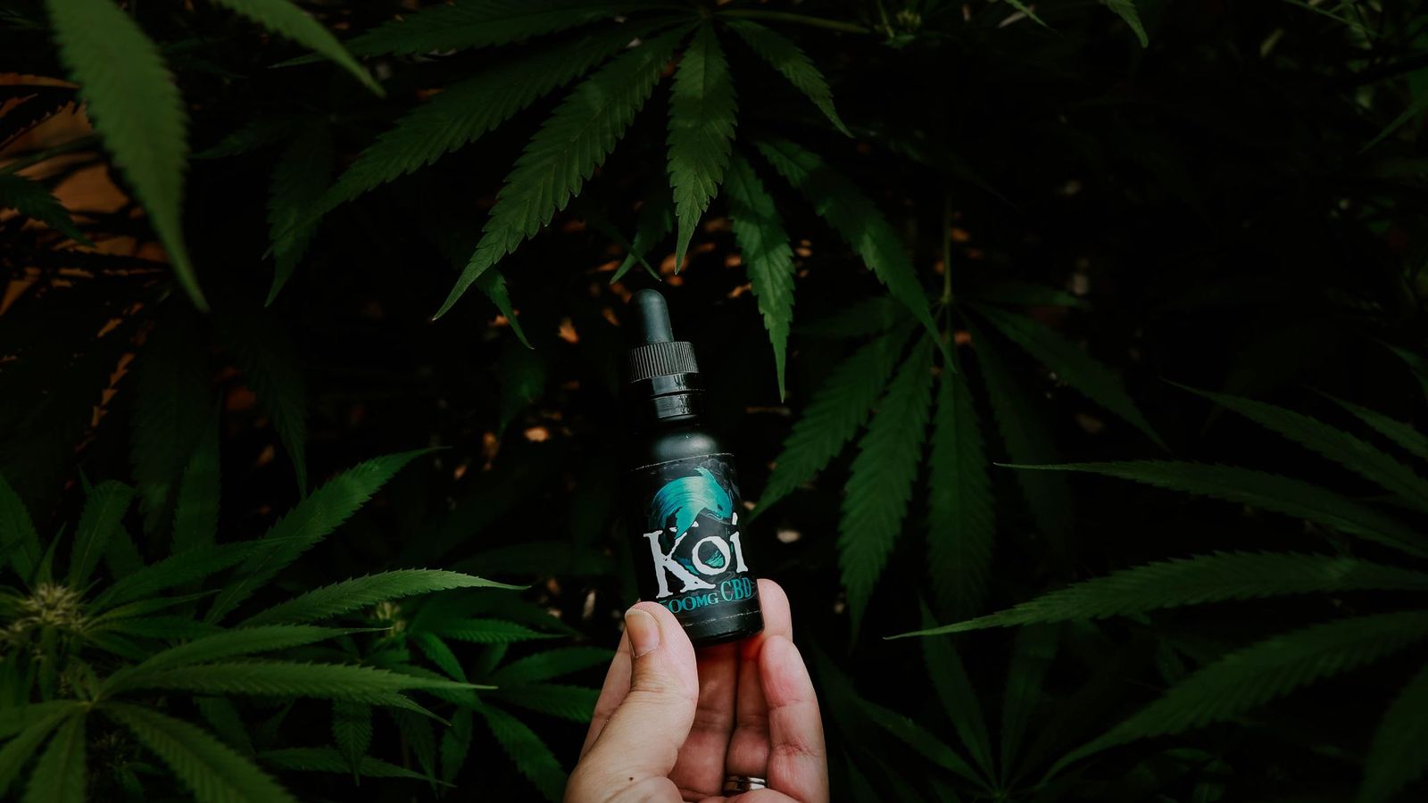 CBD oil bottles on a podium — CBD web design by 420 Web Design UK